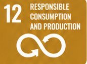 SDG 12 Responsible Consumption and Production